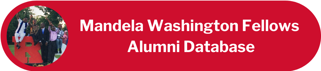Mandela Washington Fellows Alumni Database button
